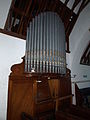 The organ