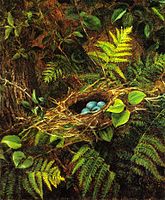 Still Life with Robin's Nest, 1863