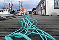 Fishermen measure lengths of rope in Ystad 2016.