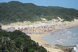 Morgan Bay beach and touch rugby competition