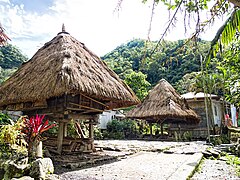 The raised bale houses of the Ifugao people, with capped house posts[183]
