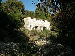 House in Zbišina