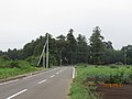 かつての参道から、鹿島神社がある林を望む。