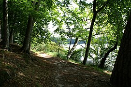 Typischer Uferweg am Nordufer