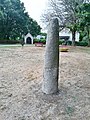 La place de la Mare (ancien placître de la chapelle détruite de Saint-Trémeur) et la stèle de l'Âge du fer.