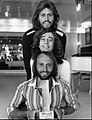 Image 4The British band The Bee Gees were one of the biggest musical acts of the 1970s leading the disco phenomenon (from 1970s in music)