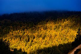 Benbow Lake State Recreation Area