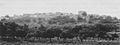 Skyline of al-Birwa, 1928