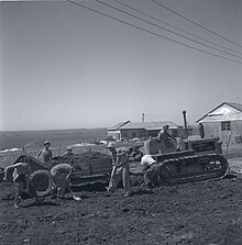 Members of the Kibbutz working in agriculture, 1951. Boris Carmi, Meitar collection, National Library of Israel