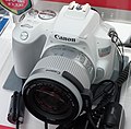 Canon 250D in White