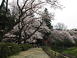 清水公園（千葉県野田市）