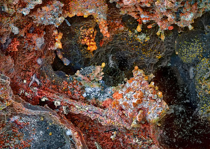 Fumarole minerals from Mutnovsky volcano, by Зеленский Михаил Евгеньевич
