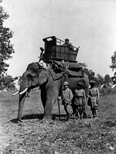 Edward beside an elephant