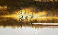 On Golden Pond Private lake in Texas.