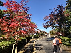 岡崎市東公園