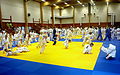 Image 22International judo camp in Artjärvi, Orimattila, Finland (from Judo)