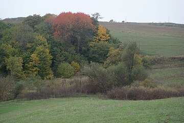 Nature around the village