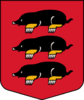 Coat of arms of Višķi Parish