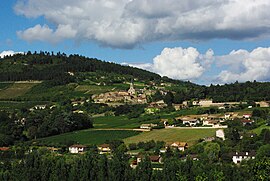 A general view of La Roche-Vineuse