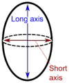 Spheroid or near-spheroid organs such as testes may be measured by long and short axes.[11]