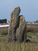 Le menhir de Toëno.