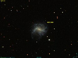 NGC 2900