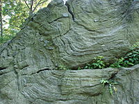 Manhattan schist outcropping in New York City's Central Park