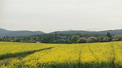 View of Oberstedten (in May)