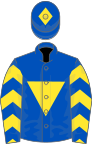 ROYAL BLUE,yellow inverted triangle and chevrons on sleeves,blue cap, yellow diamond