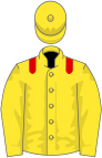 Yellow, red epaulets