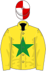 Yellow, green star, red and white quartered cap