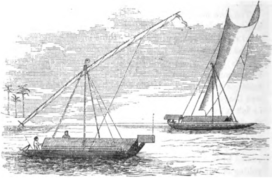 Paduakan (padewakang) of Celebes, 1863