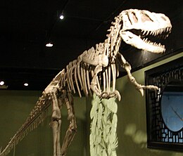 Sinraptor hepingensis