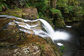 Liffey (Tasmanie)