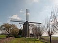 Wissenkerke, el viejo molino: korenmolen het Landzigt