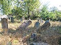 Jewish cemetery in Bedevlia