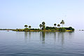 Image 67Bone Island, Batticaloa (from List of islands of Sri Lanka)