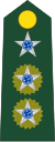 Lieutenant Colonel