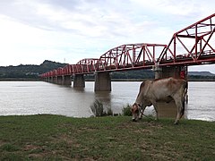 Buntun Bridge with cow