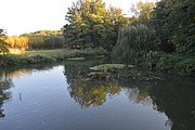 Byron's Pool, Grantchester