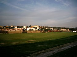 Panorama of Collesalvetti