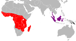 Distribución de las subespecies.