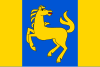 Flag of Martinice v Krkonoších