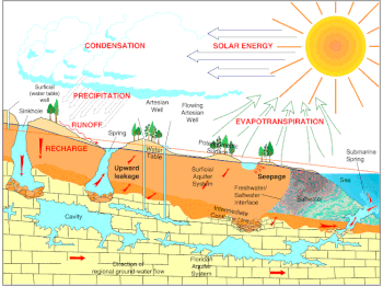 Cross section illustration of the hydrologic cycle in Florida, including the Floridan aquifer and formation of springs and sinkholes