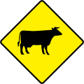 W 151 Cattle or Farm Animals