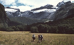 1980 Fiordland field trip