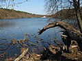 Wandlitz-Lanke, Obersee