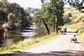 Maribyrnong River Trail at Avondale Heights, Victoria