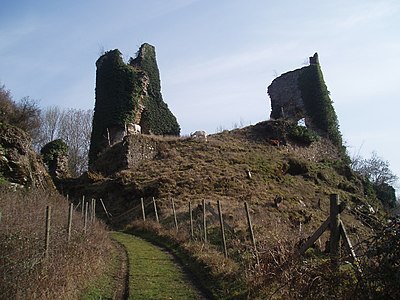 Ruines du château.