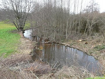 Le Nauzon en limite de Champniers-et-Reilhac et Saint-Mathieu.